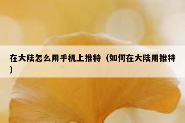 在大陆怎么用手机上推特（如何在大陆用推特） 第1张