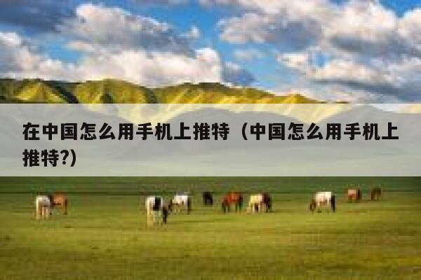 在中国怎么用手机上推特（中国怎么用手机上推特?） 第1张