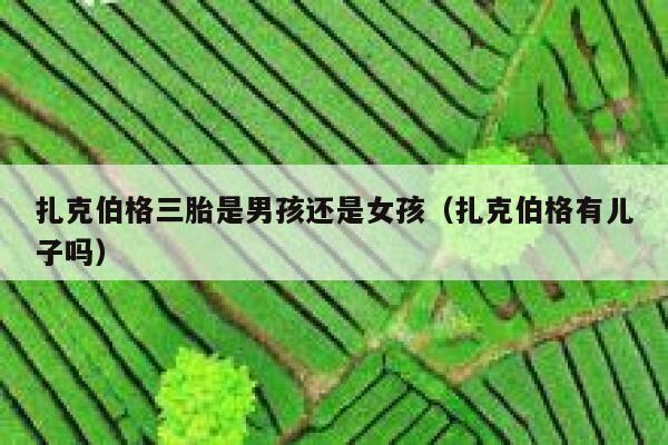 扎克伯格三胎是男孩还是女孩（扎克伯格有儿子吗） 第1张
