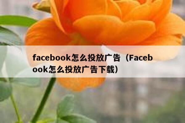 facebook怎么投放广告（Facebook怎么投放广告下载） 第1张