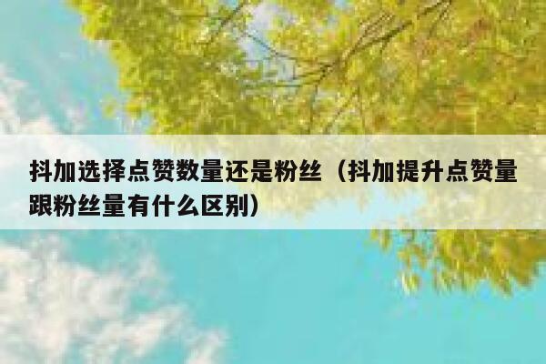 抖加选择点赞数量还是粉丝（抖加提升点赞量跟粉丝量有什么区别） 第1张