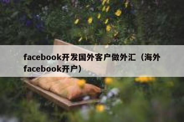 facebook开发国外客户做外汇（海外facebook开户） 第1张
