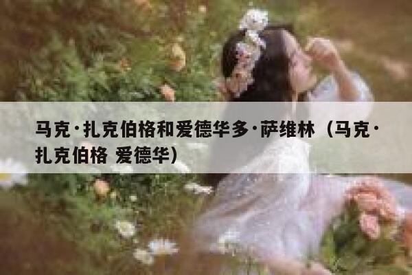 马克·扎克伯格和爱德华多·萨维林（马克·扎克伯格 爱德华） 第1张