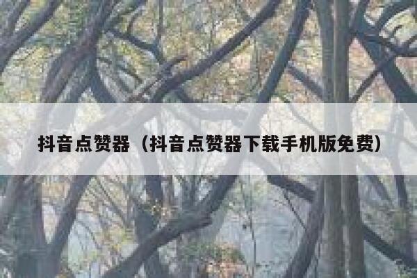 抖音点赞器（抖音点赞器下载手机版免费） 第1张
