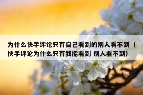 为什么快手评论只有自己看到的别人看不到（快手评论为什么只有我能看到 别人看不到） 第1张