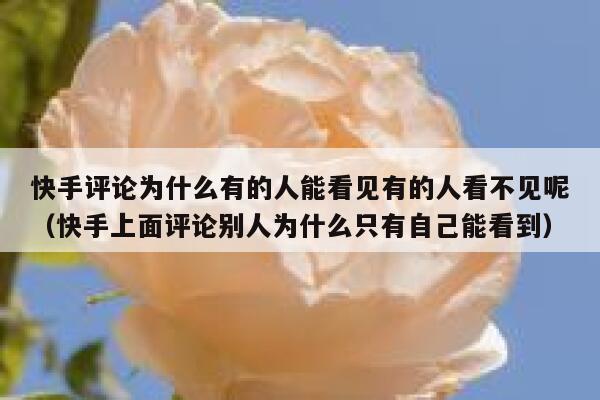 快手评论为什么有的人能看见有的人看不见呢（快手上面评论别人为什么只有自己能看到） 第1张