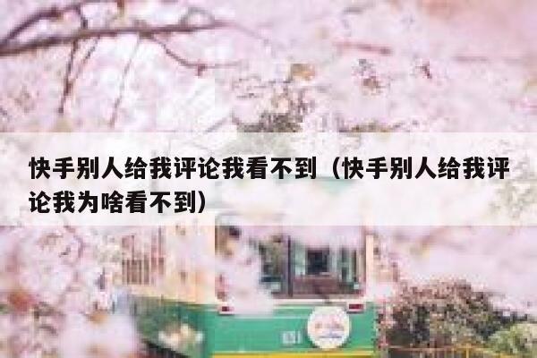 快手别人给我评论我看不到（快手别人给我评论我为啥看不到） 第1张