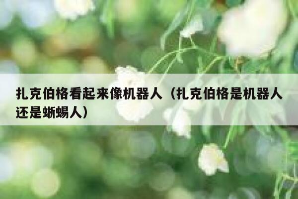 扎克伯格看起来像机器人（扎克伯格是机器人还是蜥蜴人） 第1张