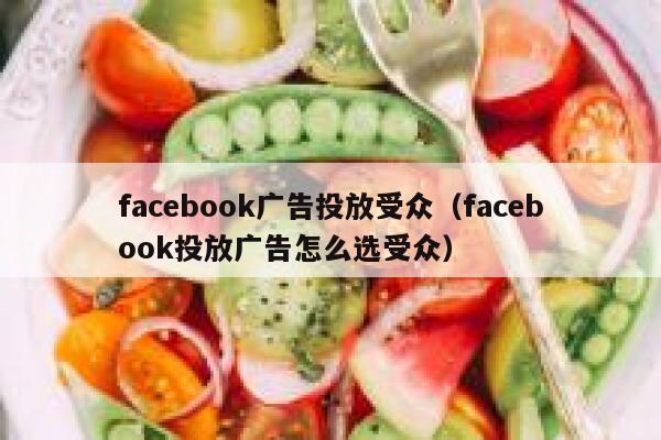 facebook广告投放受众（facebook投放广告怎么选受众） 第1张