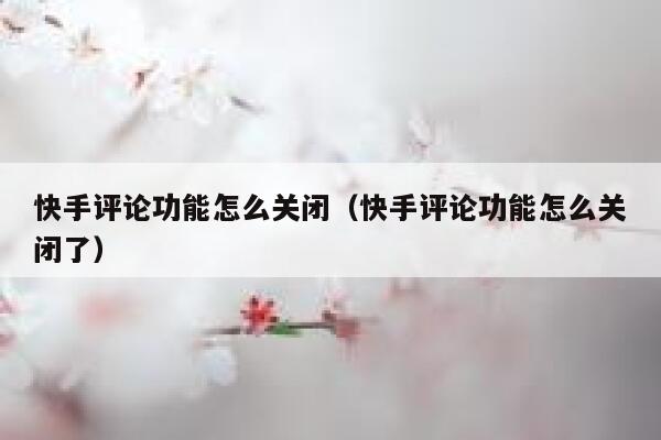 快手评论功能怎么关闭（快手评论功能怎么关闭了） 第1张