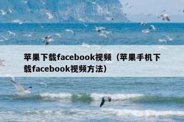 苹果下载facebook视频（苹果手机下载facebook视频方法） 第1张