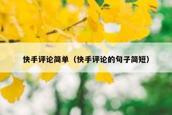 快手评论简单（快手评论的句子简短） 第1张