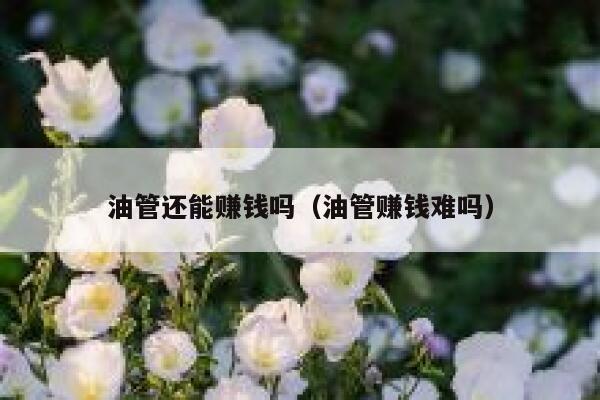 油管还能赚钱吗（油管赚钱难吗） 第1张