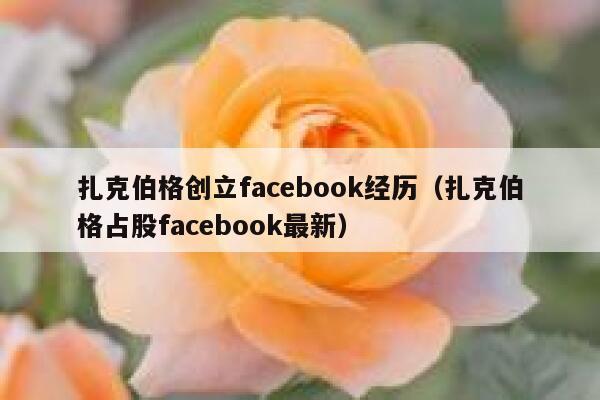 扎克伯格创立facebook经历（扎克伯格占股facebook最新） 第1张