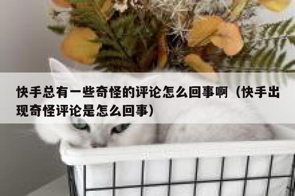 快手总有一些奇怪的评论怎么回事啊（快手出现奇怪评论是怎么回事） 第1张