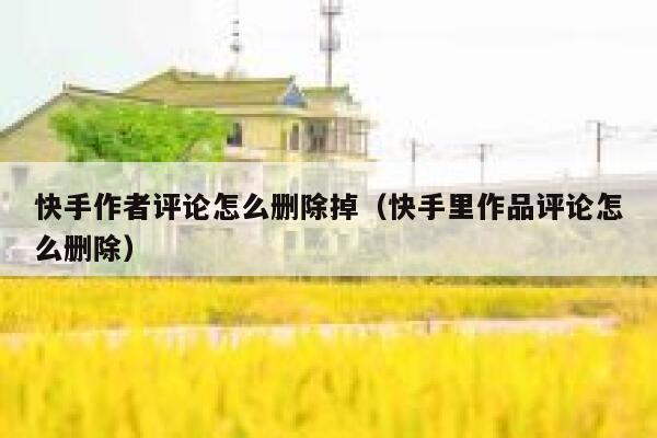 快手作者评论怎么删除掉（快手里作品评论怎么删除） 第1张