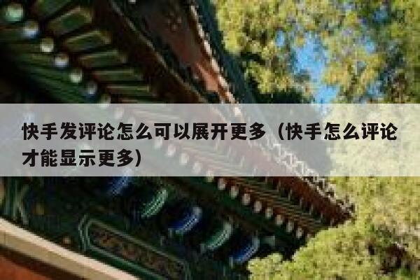 快手发评论怎么可以展开更多（快手怎么评论才能显示更多） 第1张