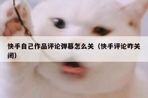 快手自己作品评论弹幕怎么关（快手评论咋关闭） 第1张