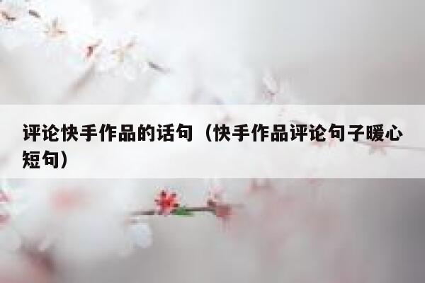 评论快手作品的话句（快手作品评论句子暖心短句） 第1张