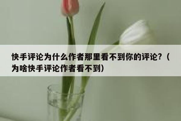 快手评论为什么作者那里看不到你的评论?（为啥快手评论作者看不到） 第1张