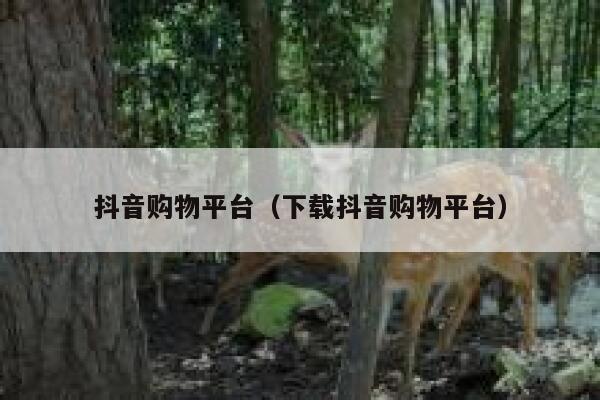 抖音购物平台（下载抖音购物平台） 第1张