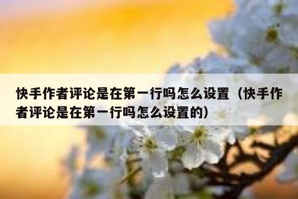 快手作者评论是在第一行吗怎么设置（快手作者评论是在第一行吗怎么设置的） 第1张