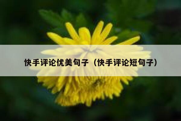 快手评论优美句子（快手评论短句子） 第1张