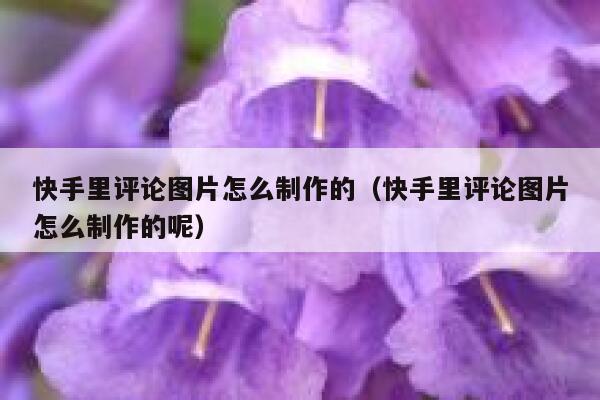 快手里评论图片怎么制作的（快手里评论图片怎么制作的呢） 第1张