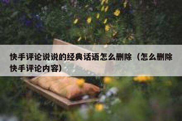 快手评论说说的经典话语怎么删除（怎么删除快手评论内容） 第1张