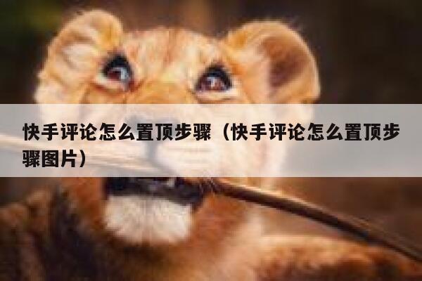 快手评论怎么置顶步骤（快手评论怎么置顶步骤图片） 第1张