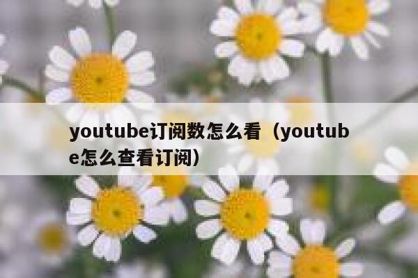 youtube订阅数怎么看（youtube怎么查看订阅） 第1张