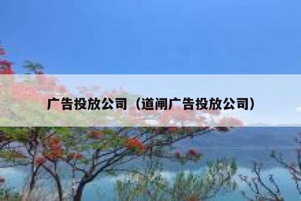 广告投放公司（道闸广告投放公司） 第1张