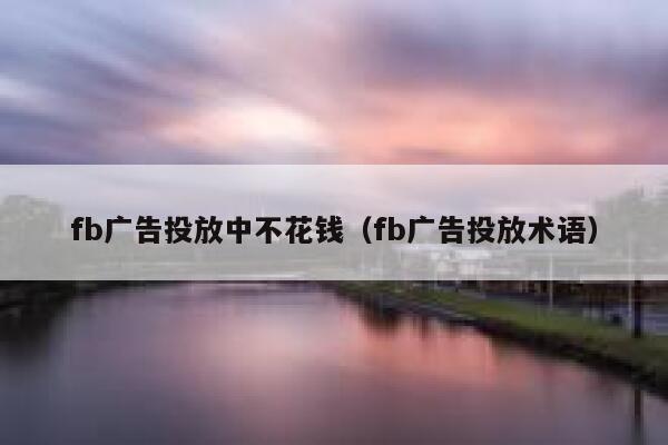 fb广告投放中不花钱（fb广告投放术语） 第1张