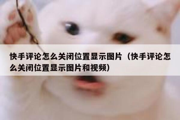 快手评论怎么关闭位置显示图片（快手评论怎么关闭位置显示图片和视频） 第1张