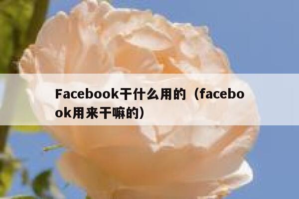 Facebook干什么用的（facebook用来干嘛的） 第1张