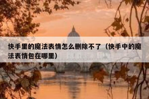 快手里的魔法表情怎么删除不了（快手中的魔法表情包在哪里） 第1张