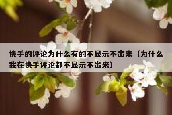 快手的评论为什么有的不显示不出来（为什么我在快手评论都不显示不出来） 第1张