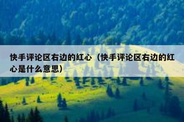 快手评论区右边的红心（快手评论区右边的红心是什么意思） 第1张