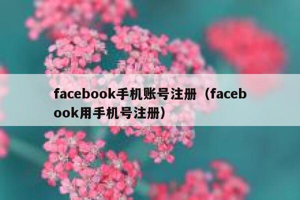 facebook手机账号注册（facebook用手机号注册） 第1张