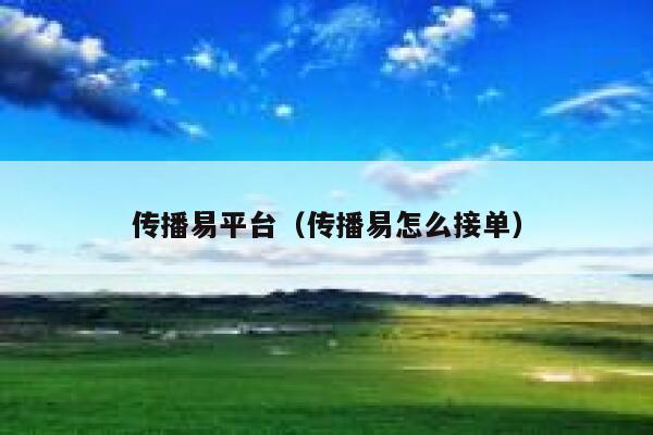 传播易平台（传播易怎么接单） 第1张