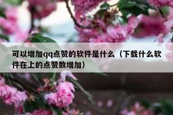 可以增加qq点赞的软件是什么（下载什么软件在上的点赞数增加） 第1张