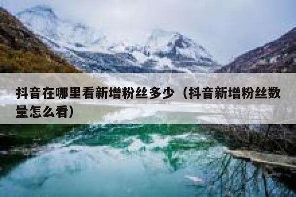 抖音在哪里看新增粉丝多少（抖音新增粉丝数量怎么看） 第1张