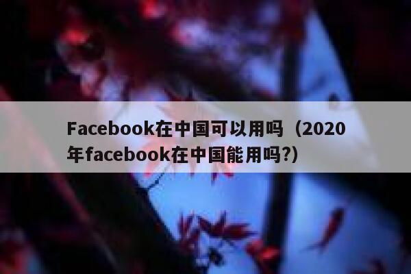 Facebook在中国可以用吗（2020年facebook在中国能用吗?） 第1张