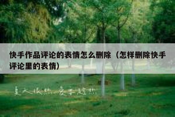 快手作品评论的表情怎么删除（怎样删除快手评论里的表情） 第1张