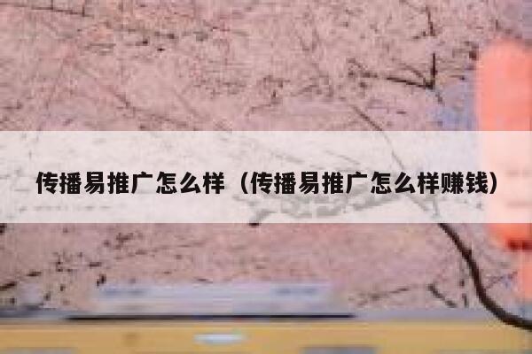 传播易推广怎么样（传播易推广怎么样赚钱） 第1张