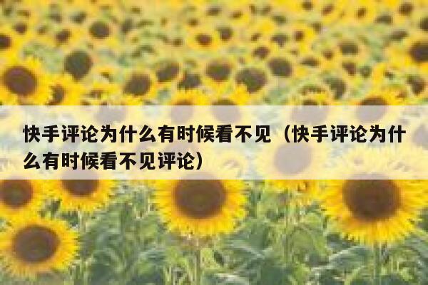 快手评论为什么有时候看不见（快手评论为什么有时候看不见评论） 第1张