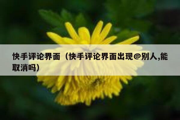 快手评论界面（快手评论界面出现@别人,能取消吗） 第1张