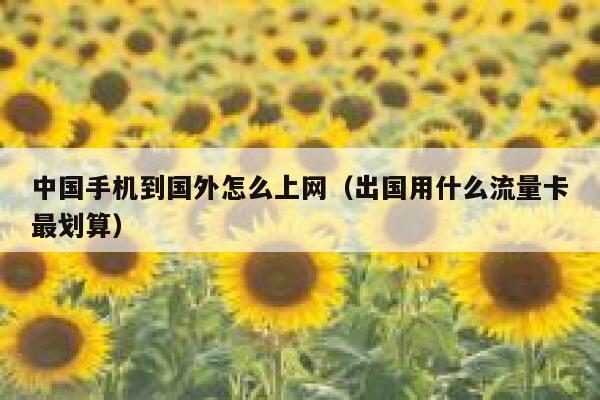 中国手机到国外怎么上网（出国用什么流量卡最划算） 第1张