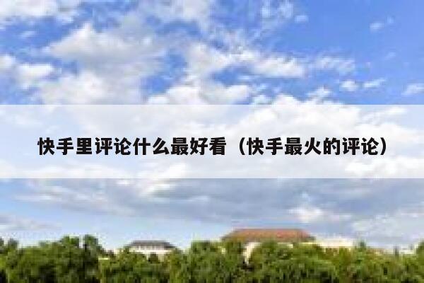 快手里评论什么最好看（快手最火的评论） 第1张