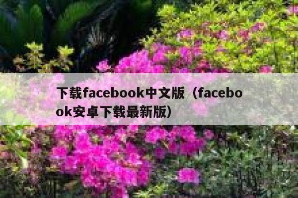 下载facebook中文版（facebook安卓下载最新版） 第1张